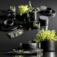 table setting in black colors