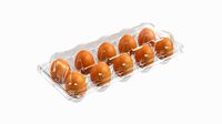 egg plastic package 10 eggs v1