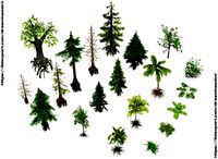 Forest foliage pack 1 --- pine - palm - other trees and bushes