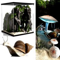 snails house
