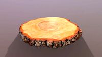 Wooden Log Slice Wedding Cake Stand