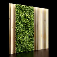 vertical garden and planks