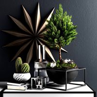 decor set with pine tree