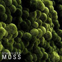 stabilized moss 3