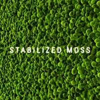 stabilized moss 2