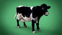 realistic cow