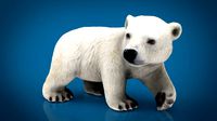 polar bear babe