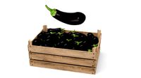 aubergine box