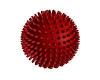 dog ball toy