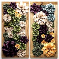 echeveria vertical garden 53