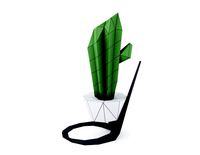 cactus in vase
