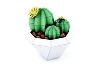 cactus in vase