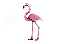pink flamingo