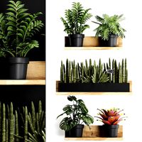 plant set wall decor vertical garden 401