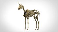 unicorn skeleton