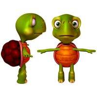 turtle