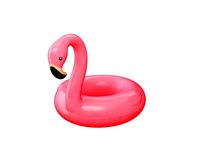 swimming ring flamingo