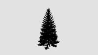 Picea abies 4 AM219 Archmodel