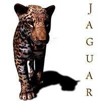 realistic jaguar no fur