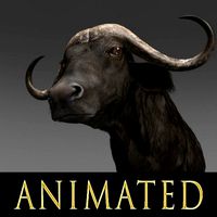 animated buffalo