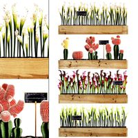 cactus set wall decor vertical garden 44