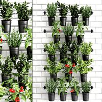 decorative plants for the kitchen on railing 3802