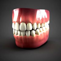 realistic mouth teeth tongue