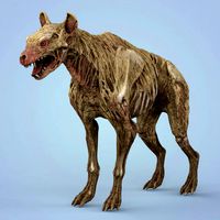 fantasy zombie hyena