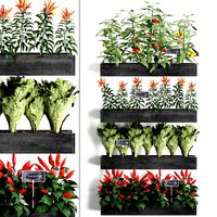 decorative plants for the kitchen on wooden box 47