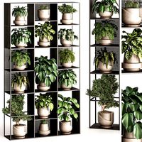 Indoor Plant And Vertical Plant In Box Set 91 (342565)