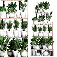 plants collection vertical gardening 28