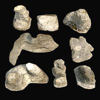 rauk stone collection