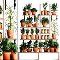 plants collection vertical gardening 27
