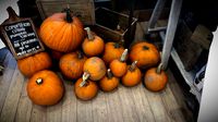Pumpkins 3d set raw scan