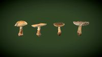 Parasol Mushroom - Ready to Unity HDRP