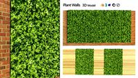 Green wall