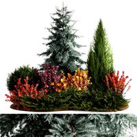 Garden of spruce thuja juniper and barberry 1173