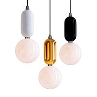 Splendid glass pendant light (343405)