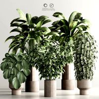 Indoor Plant Set 96 (343761)