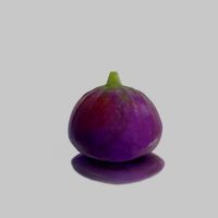 3d model figs (336689)