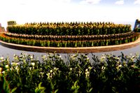 Flowers And Garden Assets