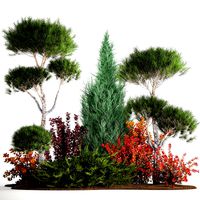 Garden Of Nivaki Thuja Juniper And Barberry 1178