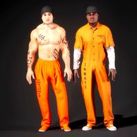 Prisoner Modular