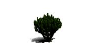 Realistic HD Candelabra tree (28/40)