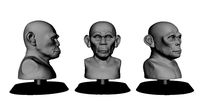 head monkey