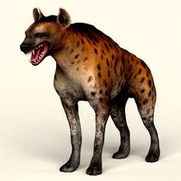 low poly realistic hyena