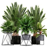 collection of ornamental plants and exotic plants