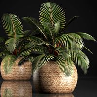 decorative palm tree in the basket