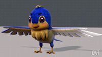 bird v01