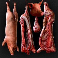 Carcasses